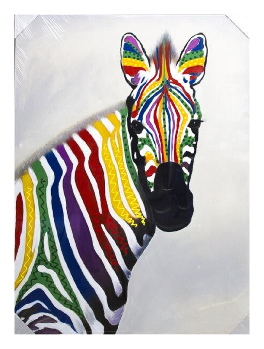 Zebra Colourful