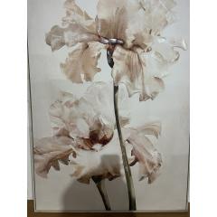 BLUE IRIS