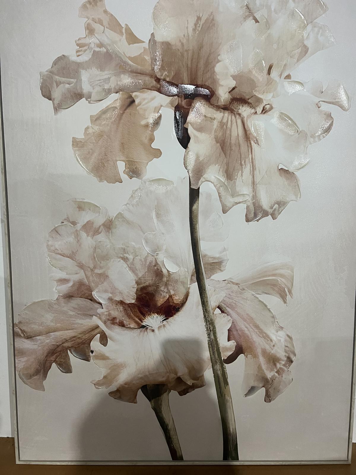 BLUE IRIS