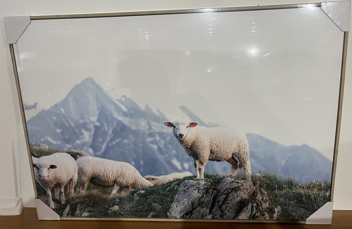 GRAZING   
